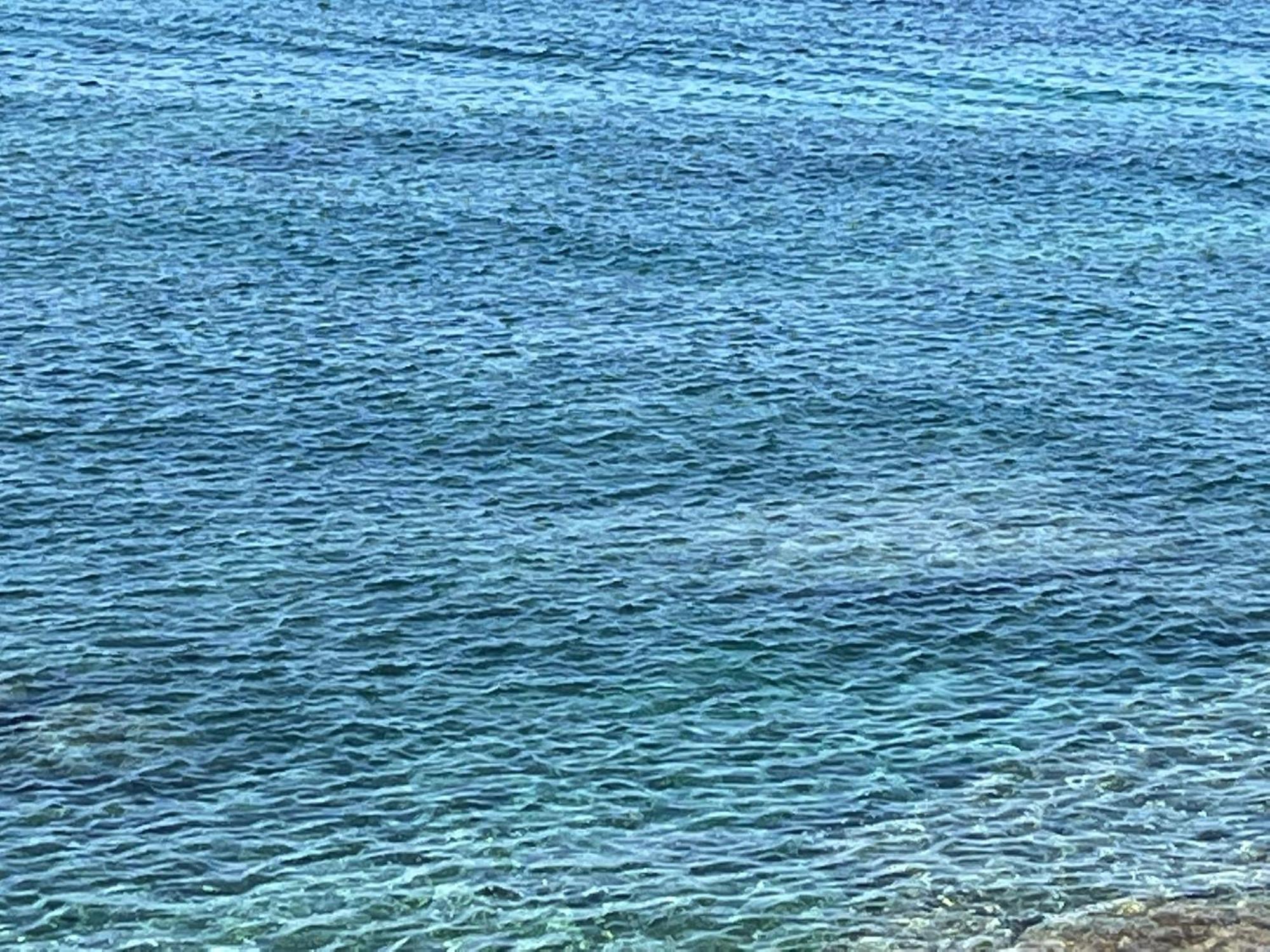 Casa Mare Incantevole Алгеро Екстериор снимка
